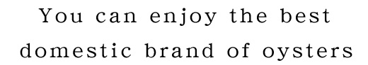 日本一のブランド牡蠣を