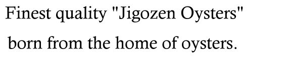 Jigozen Oysters