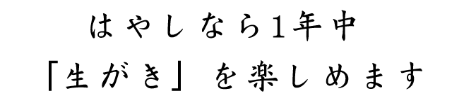 最高品質の生牡蠣