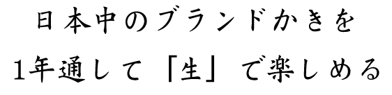 日本一のブランド牡蠣を